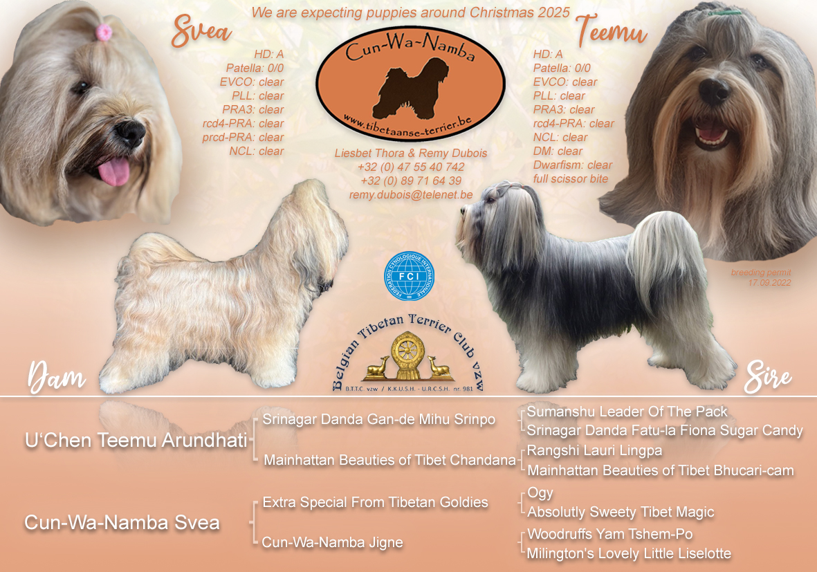 SveaTeemu aankondiging